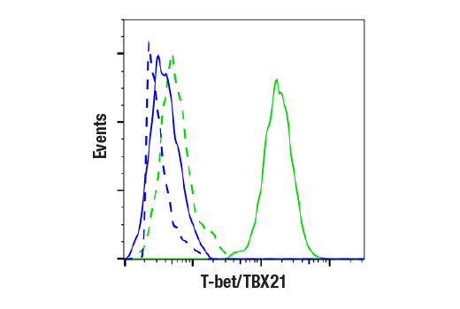 Flow Cytometry Image 2: T-bet/TBX21 (E4I2K) Rabbit Monoclonal Antibody (BSA and Azide Free)