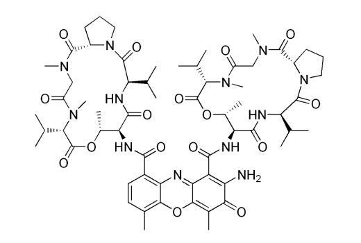 undefined Image 3: Actinomycin D