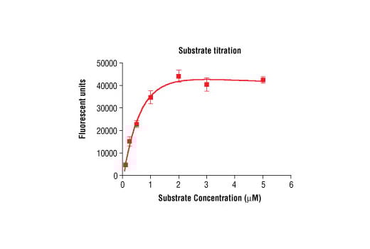 undefined Image 3: HTScan<sup>®</sup> Mouse PDGF Receptor alpha Kinase Assay Kit