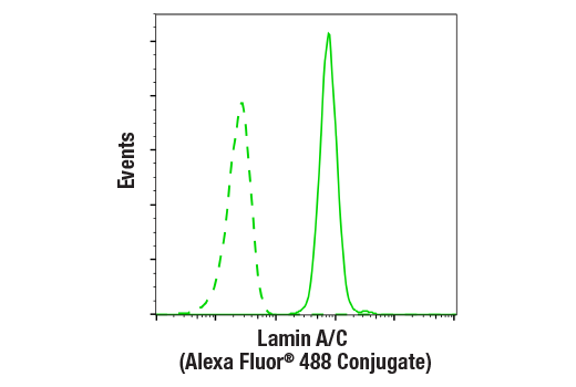 Flow Cytometry Image 1: Lamin A/C (4C11) Mouse Monoclonal Antibody (Alexa Fluor<sup>®</sup> 488 Conjugate)