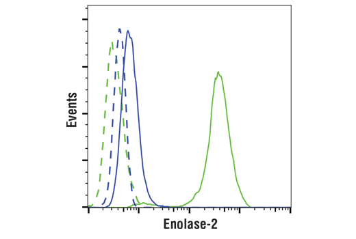 Flow Cytometry Image 1: Enolase-2 (E7D7I) Rabbit Monoclonal Antibody