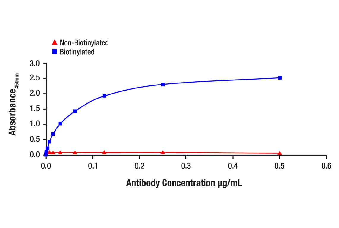 ELISA and/or ELISA-like Assays Image 1: Itk (2F12) Mouse Monoclonal Antibody (Biotinylated)