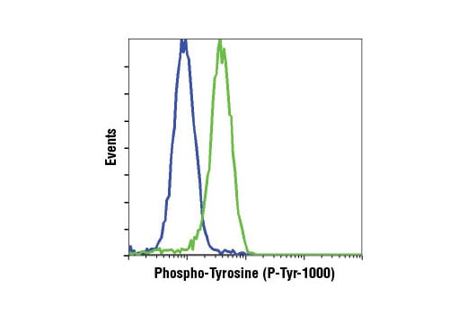Flow Cytometry Image 1: Phospho-Tyrosine (P-Tyr-1000) MultiMab<sup>®</sup> Rabbit Monoclonal Antibody mix