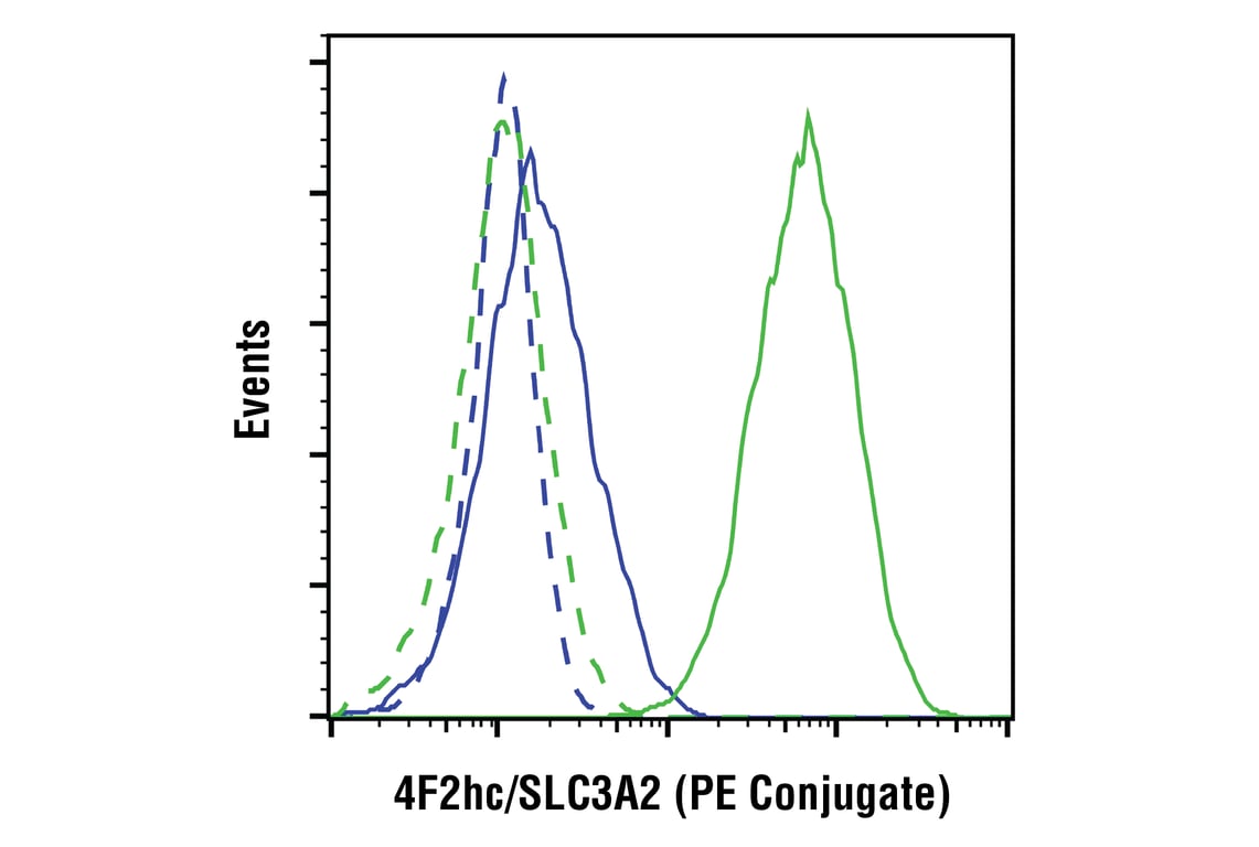 Flow Cytometry Image 1: 4F2hc/SLC3A2 (D3F9D) XP<sup>®</sup> Rabbit mAb (PE Conjugate)
