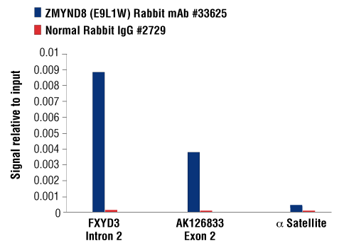 Chromatin Immunoprecipitation Image 3: ZMYND8 (E9L1W) Rabbit Monoclonal Antibody