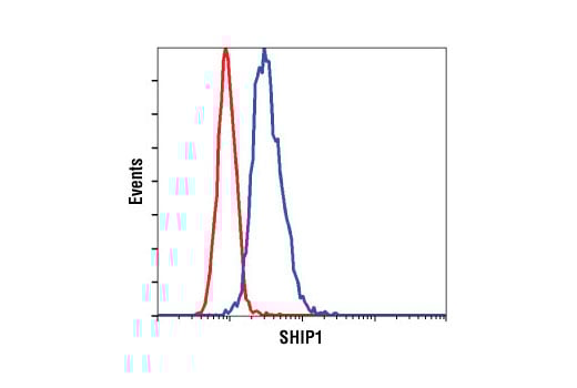 Flow Cytometry Image 1: SHIP1 (C15C9) Rabbit Monoclonal Antibody
