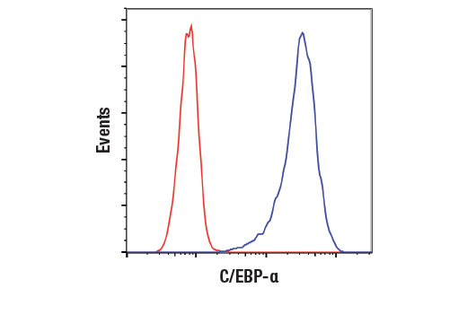 undefined Image 18: C/EBP Antibody Sampler Kit