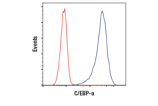 Flow Cytometry Image 1: C/EBPα (D56F10) XP<sup>®</sup> Rabbit mAb