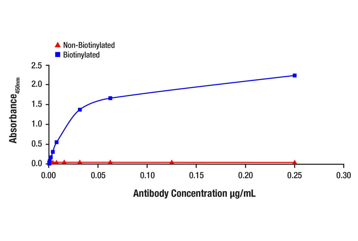 ELISA and/or ELISA-like Assays Image 1: GAPDH (14C10) Rabbit Monoclonal Antibody (Biotinylated)