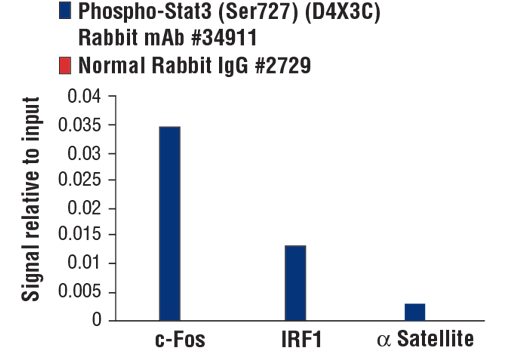 Chromatin Immunoprecipitation Image 1: Phospho-Stat3 (Ser727) (D4X3C) Rabbit Monoclonal Antibody