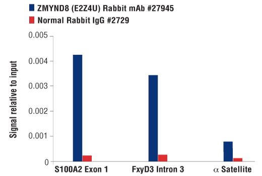 Chromatin Immunoprecipitation Image 3: ZMYND8 (E2Z4U) Rabbit Monoclonal Antibody