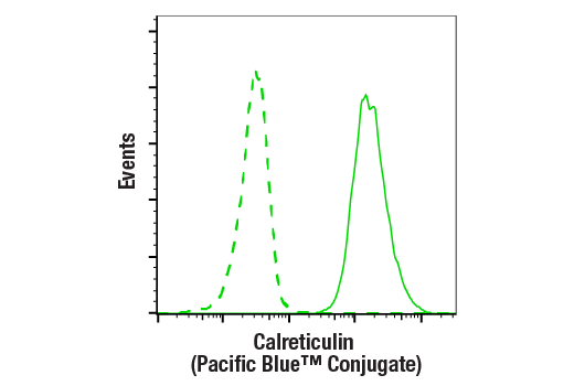 Flow Cytometry Image 2: Calreticulin (D3E6) Rabbit Monoclonal Antibody (Pacific Blue<sup>™</sup> Conjugate)