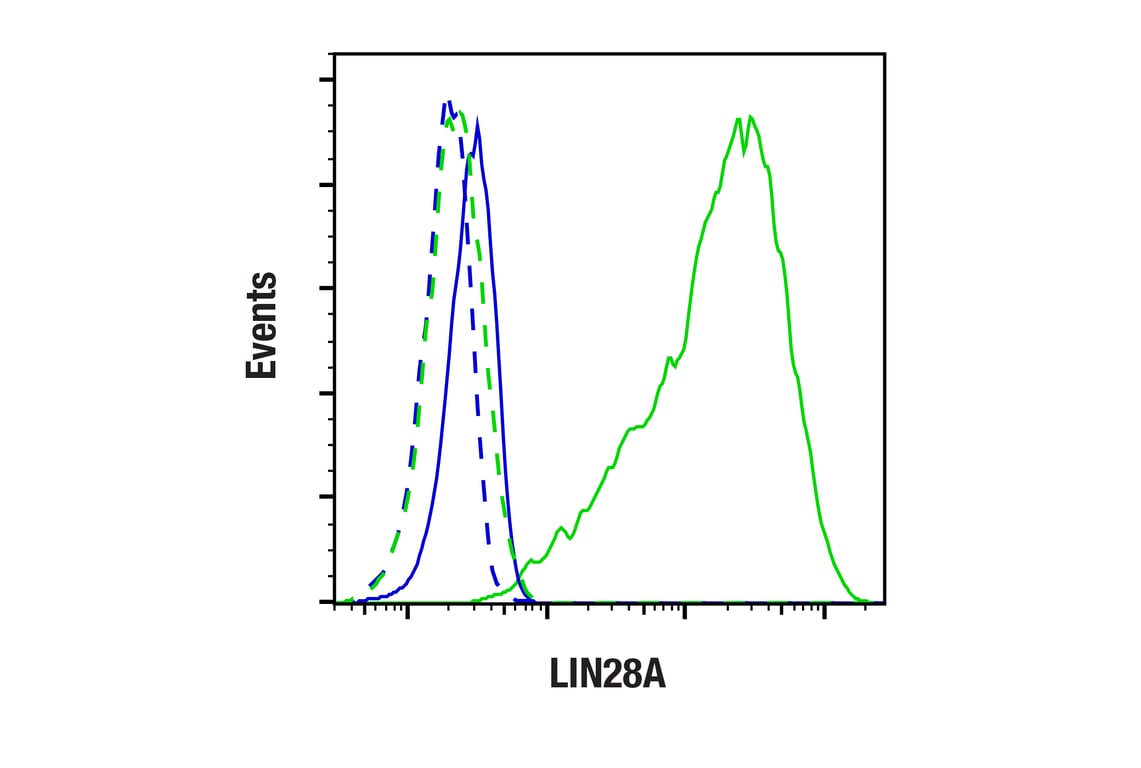 Flow Cytometry Image 1: LIN28A (D84C11) Rabbit Monoclonal Antibody
