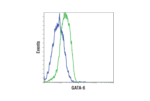 Flow Cytometry Image 1: GATA-6 (D61E4) XP<sup>®</sup> Rabbit mAb (BSA and Azide Free)