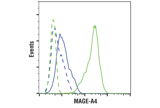 Flow Cytometry Image 1: MAGE-A4 (E7O1U) Rabbit Monoclonal Antibody