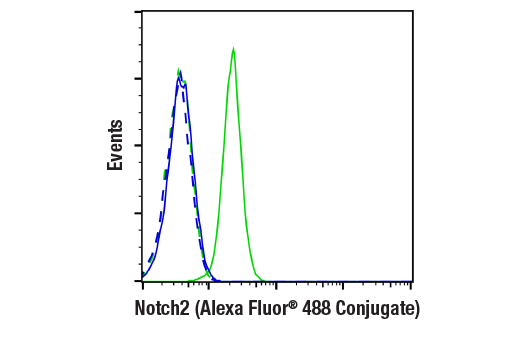 Flow Cytometry Image 1: Notch2 (D76A6) Rabbit Monoclonal Antibody (Alexa Fluor<sup>®</sup> 488 Conjugate)