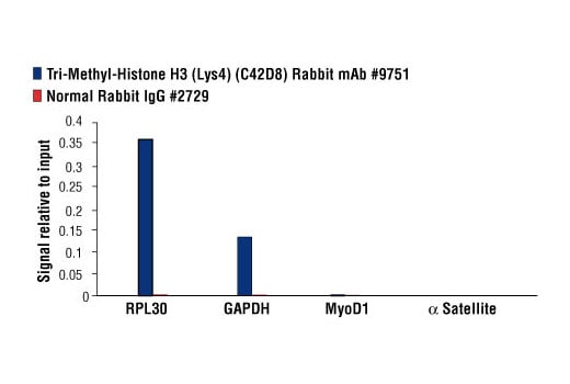 Chromatin Immunoprecipitation Image 3: Tri-Methyl-Histone H3 (Lys4) (C42D8) Rabbit Monoclonal Antibody