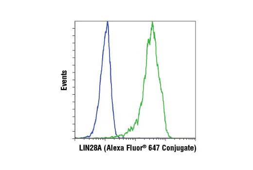 Flow Cytometry Image 1: LIN28A (D1A1A) XP<sup>®</sup> Rabbit mAb (Alexa Fluor<sup>®</sup> 647 Conjugate)