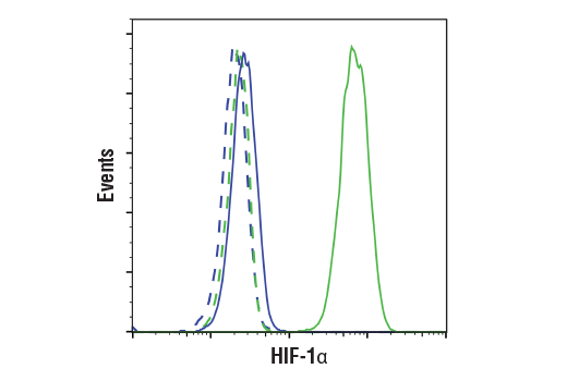 Flow Cytometry Image 1: HIF-1 alpha (D1S7W) Rabbit Monoclonal Antibody (BSA and Azide Free)