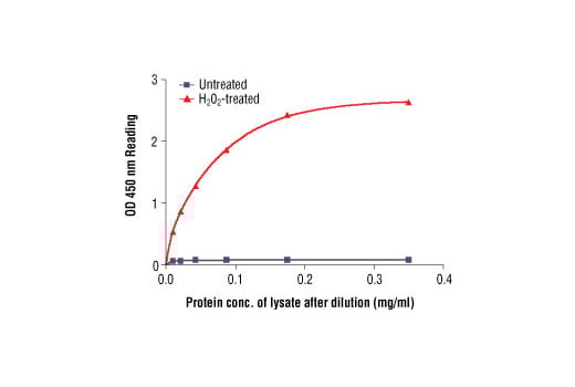 ELISA Image 2: PathScan<sup>®</sup> Phospho-Zap-70 (Tyr319) Sandwich ELISA Kit