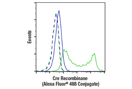 Flow Cytometry Image 1: Cre Recombinase (D7L7L) Rabbit Monoclonal Antibody (Alexa Fluor<sup>®</sup> 488 Conjugate)