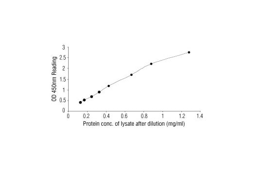 ELISA Image 2: PathScan<sup>®</sup> Cleaved Caspase-3 (Asp175) Sandwich ELISA Kit