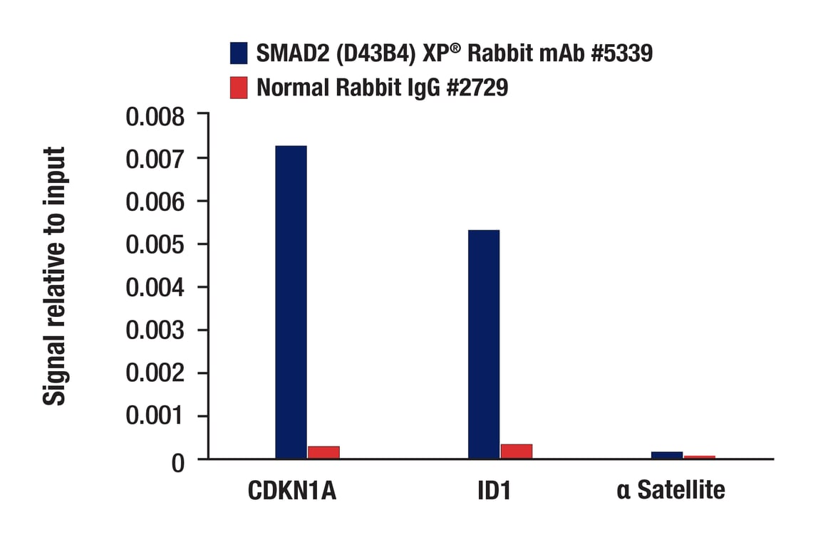 undefined Image 23: SMAD2/3 Antibody Sampler Kit