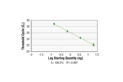 Chromatin Immunoprecipitation Image 2: SimpleChIP<sup>®</sup> Human H19/Igf2 Imprinting Control Region Primers