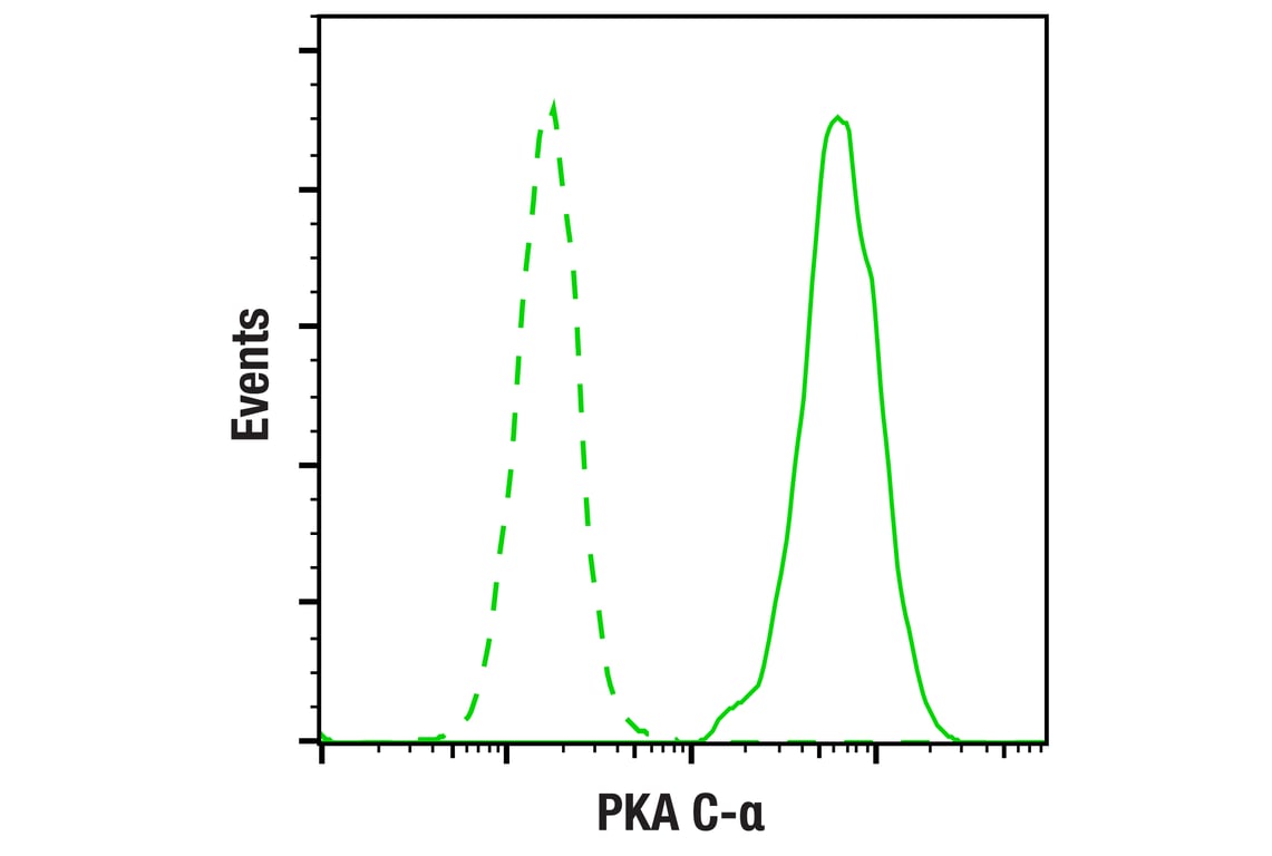 Flow Cytometry Image 1: PKA C-alpha Antibody