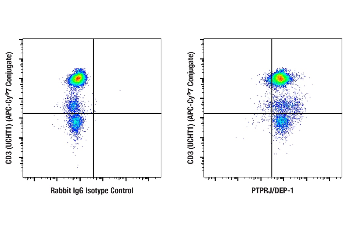 Flow Cytometry Image 1: PTPRJ/DEP-1 (F4G8K) Rabbit Monoclonal Antibody