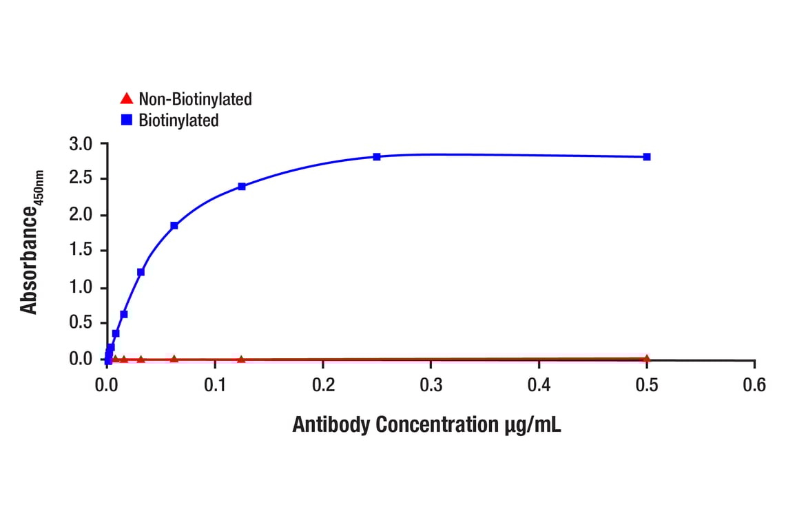 E Image 1: Tri-Methyl-Histone H3 (Lys27) (C36B11) Rabbit Monoclonal Antibody (Biotinylated)