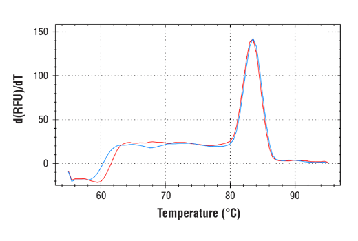 Chromatin Immunoprecipitation Image 1: SimpleChIP<sup>®</sup> Mouse Exo1 Exon 12 Primers