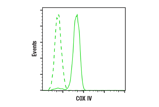 Flow Cytometry Image 1: COX IV (3E11) Rabbit Monoclonal Antibody (BSA and Azide Free)