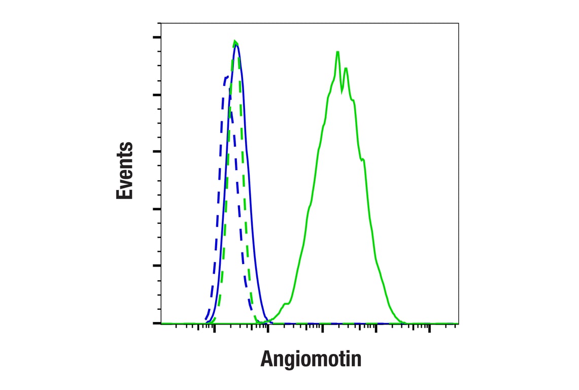 Flow Cytometry Image 2: Angiomotin (F7W8U) Rabbit Monoclonal Antibody