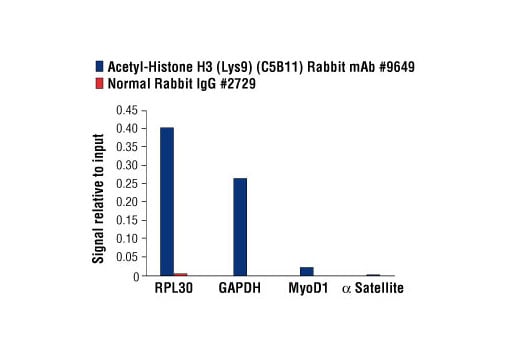 Chromatin Immunoprecipitation Image 3: Acetyl-Histone H3 (Lys9) (C5B11) Rabbit Monoclonal Antibody