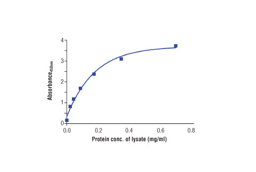 ELISA Image 2: PathScan<sup>®</sup> Total CDK5 Sandwich ELISA Kit
