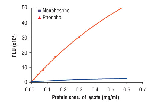 ELISA Image 2: PathScan<sup>®</sup> Phospho-FGF Receptor 3 (panTyr) Chemiluminescent Sandwich ELISA Kit