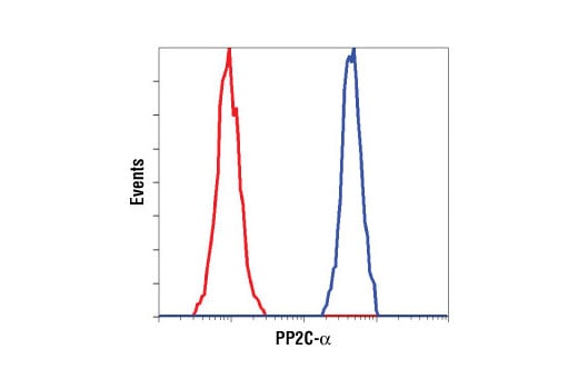 Flow Cytometry Image 1: PP2C-alpha (D18C10) Rabbit Monoclonal Antibody