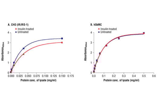 ELISA Image 2: PathScan<sup>®</sup> Total IRS-1 Sandwich ELISA Kit