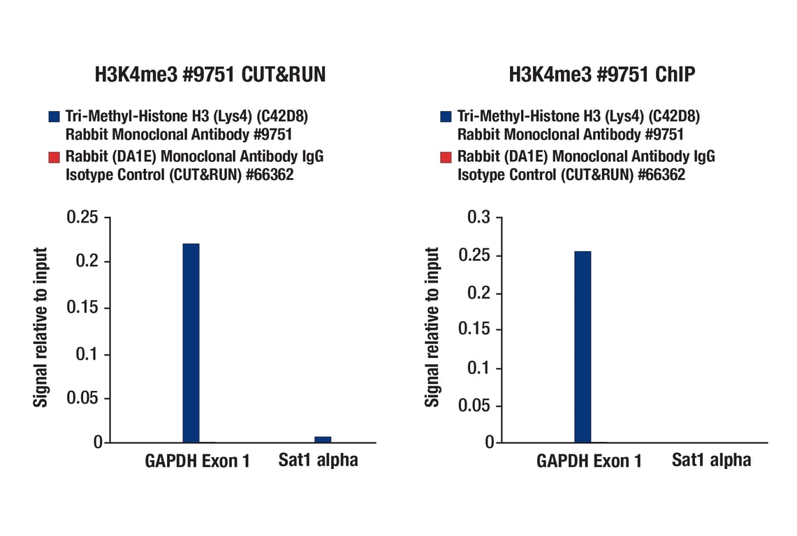 CUT & RUN Image 7: CUT&RUN Assay Kit