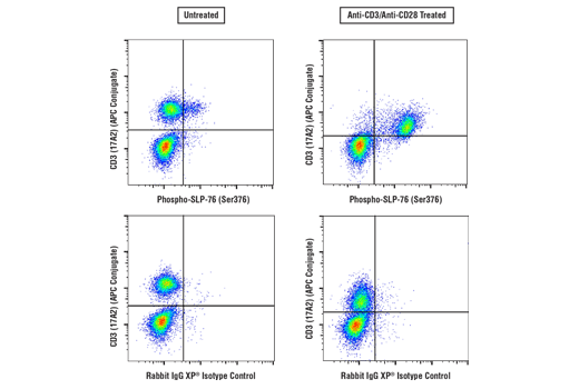 Flow Cytometry Image 3: Phospho-SLP-76 (Ser376) (E3G9U) Rabbit Monoclonal Antibody
