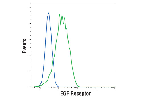 Flow Cytometry Image 1: EGF Receptor (D1P9C) Rabbit Monoclonal Antibody