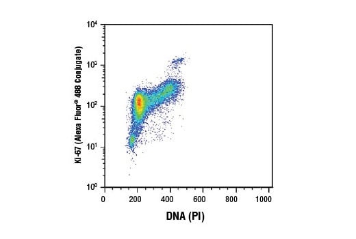 Flow Cytometry Image 1: Ki-67 (D3B5) Rabbit Monoclonal Antibody (Alexa Fluor<sup>®</sup> 488 Conjugate)