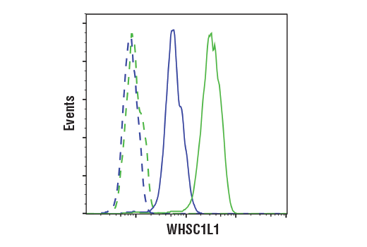 Flow Cytometry Image 1: WHSC1L1 (D4N9N) Rabbit Monoclonal Antibody (BSA and Azide Free)
