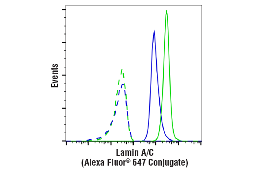 Flow Cytometry Image 1: Lamin A/C (4C11) Mouse Monoclonal Antibody (Alexa Fluor<sup>®</sup> 647 Conjugate)