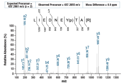 undefined Image 5: PTMScan<sup>®</sup> Control Peptides Phospho-Tyrosine