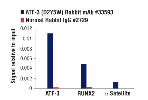 Chromatin Immunoprecipitation Image 1: ATF-3 (D2Y5W) Rabbit Monoclonal Antibody
