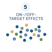A diagram showing a protein that has been digested by the proteasome using different colors to represent potential on- and off-target effects.