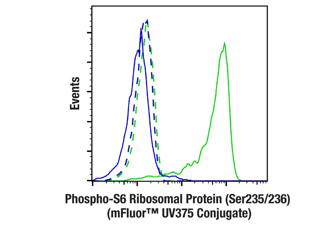 Flow Cytometry Image 1: Phospho-S6 Ribosomal Protein (Ser235/236) (D57.2.2E) XP<sup>®</sup> Rabbit mAb (mFluor<sup>™</sup> UV375 Conjugate)