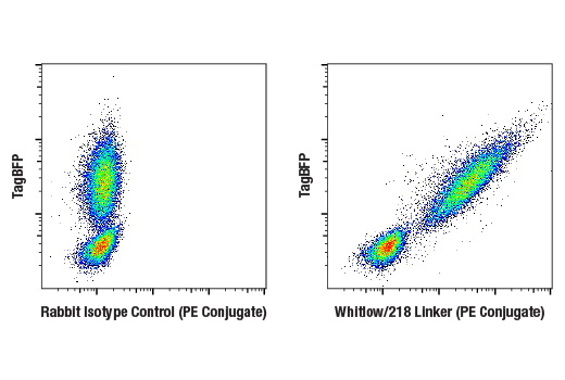 Flow Cytometry Image 3: Whitlow/218 Linker (E3U7Q) Rabbit Monoclonal Antibody (PE Conjugate)